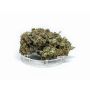 Sativa Poland Susz CBD Super Jamaica - 3